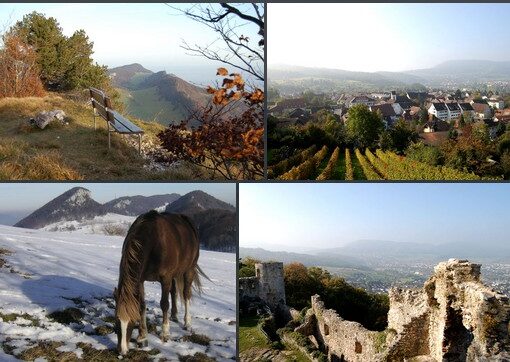 fotos jura