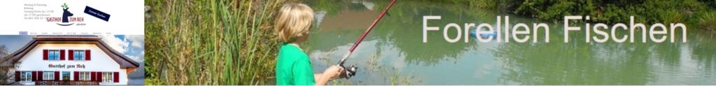 forellen fischen jura